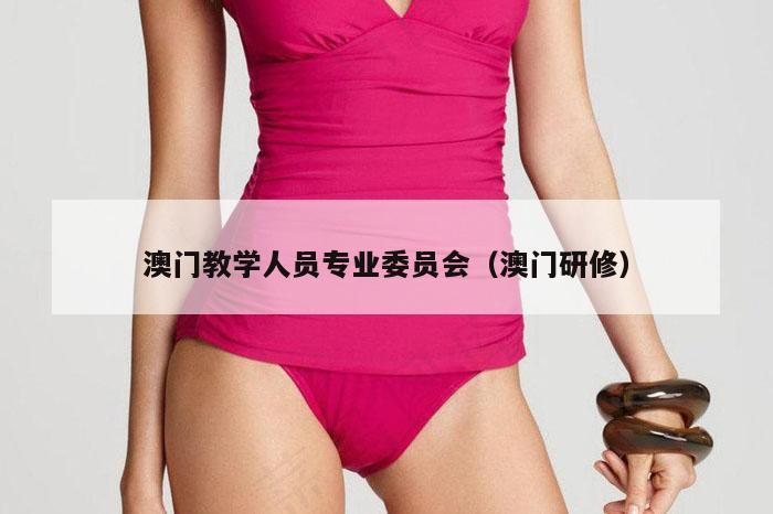 澳门教学人员专业委员会（澳门研修）