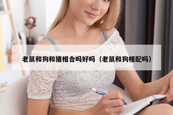 老鼠和狗和猪相合吗好吗（老鼠和狗相配吗）